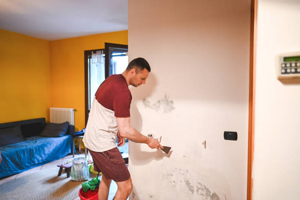 Best Mold Testing and Inspection Services in Lexington, MI